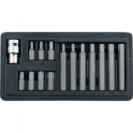 Набор бит Torx , хвостовик-шестигранник, 10 мм, CrV, 15 предметов Stels Набор бит Torx , хвостовик-шестигранник, 10 мм, CrV, 15 предметов Stels