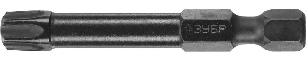 Биты ЗУБР ПРОФИ TORX, тип хвостовика E 1/4, T40, 50мм, 2шт, на карточке 